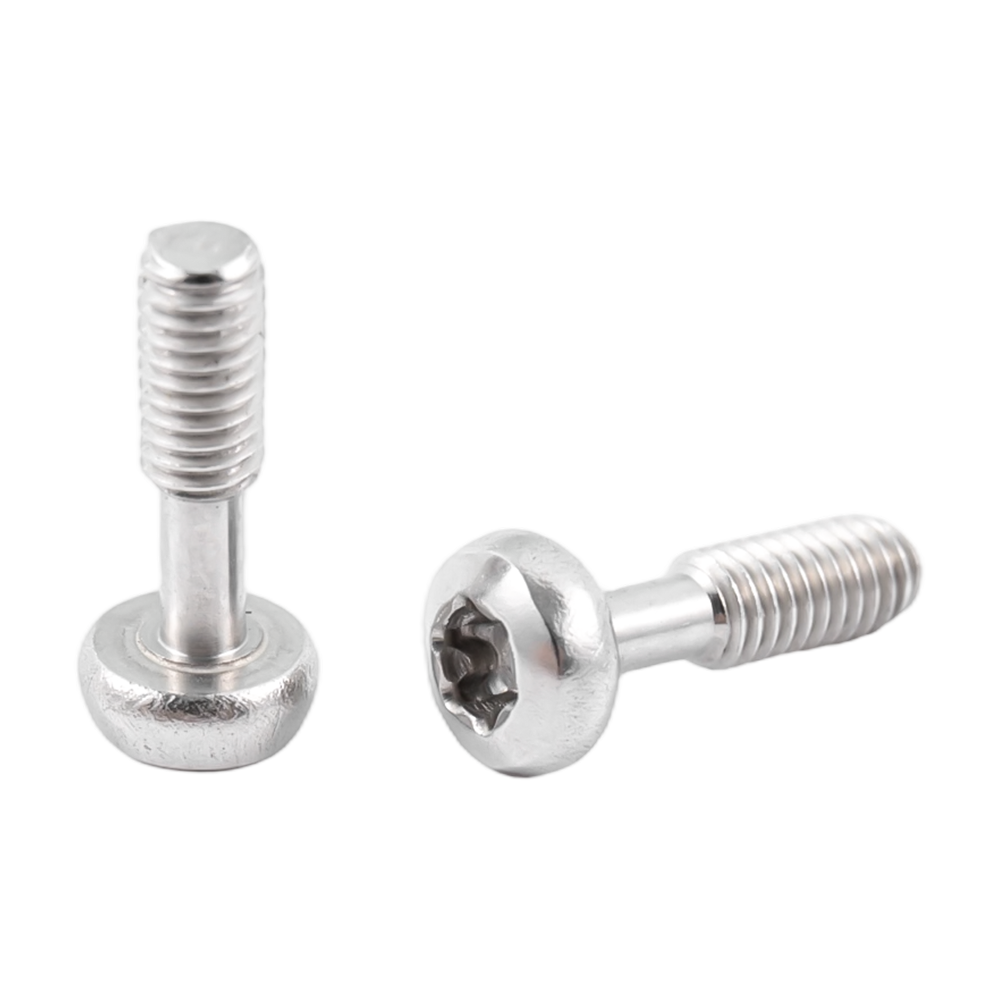 Unverlierbare Torx-Rundkopfschrauben aus Edelstahl