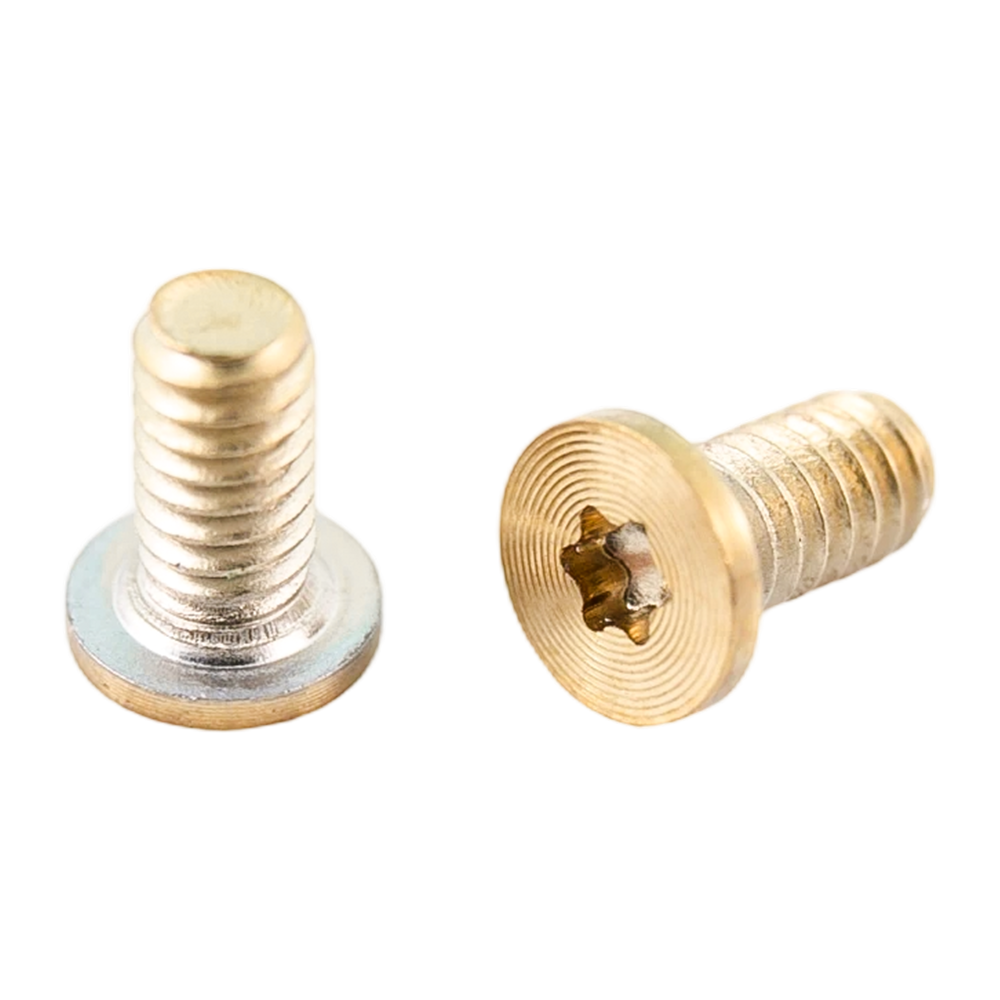 Gold-PVD-Torx-Kopf-Edelstahl-Maschinengewinde-CD-Musterschrauben