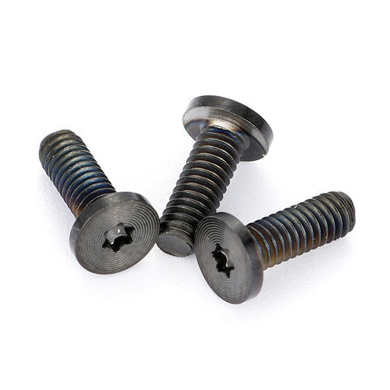 CD-förmige Torx-Schrauben mit schwarzem PVD-Beschichtung und flachem Kopf CD-förmige Torx-Schrauben mit schwarzem PVD-Beschichtung und flachem Kopf