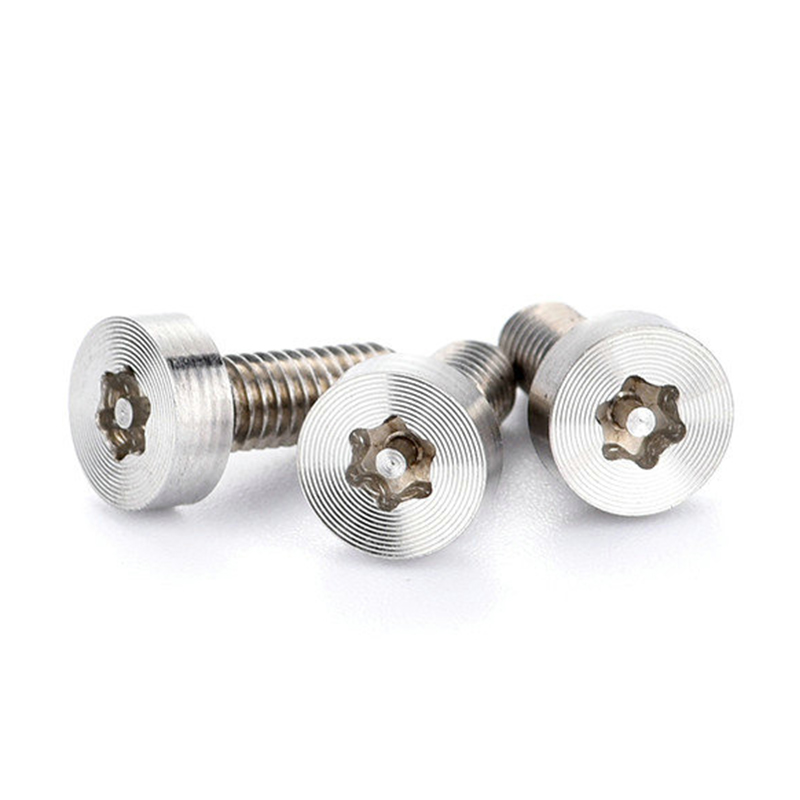 Torx-Schraube mit Linsenkopf aus satiniertem, gebürstetem Edelstahl im neuen Design Torx-Schraube mit Linsenkopf aus satiniertem, gebürstetem Edelstahl im neuen Design