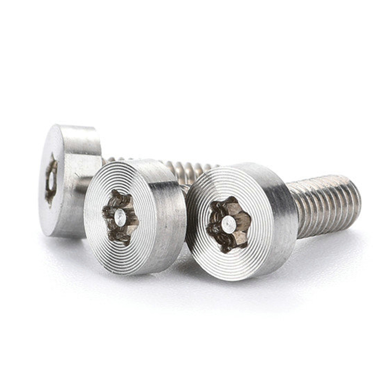 Torx-Schraube mit Linsenkopf aus satiniertem, gebürstetem Edelstahl im neuen Design Torx-Schraube mit Linsenkopf aus satiniertem, gebürstetem Edelstahl im neuen Design