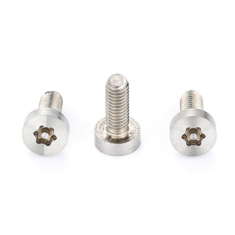CD-förmige Torx-Schrauben mit Stift und niedrigem Linsenkopf aus Edelstahl CD-förmige Torx-Schrauben mit Stift und niedrigem Linsenkopf aus Edelstahl