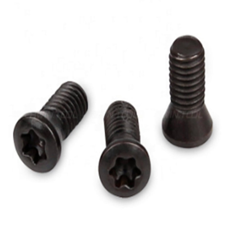M2 Torx-Schraube als Ersatz für CNC-Drehmaschinen mit Hartmetalleinsatz